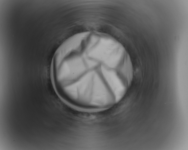 X0000088740772200706282143