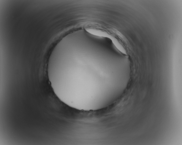 X0000088740775200706282143