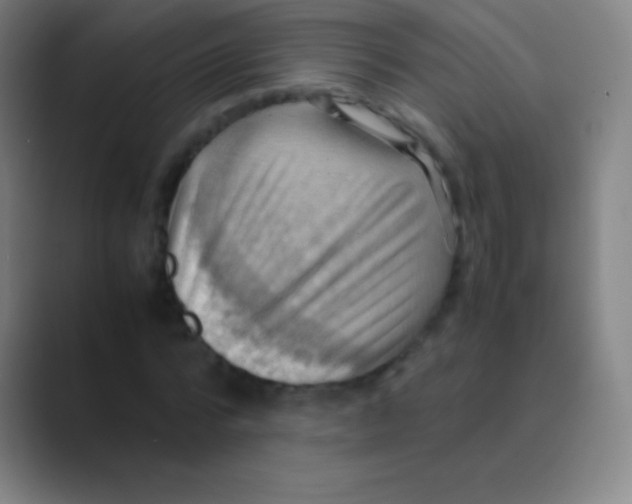 X0000088740776200706282143
