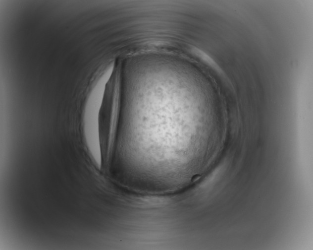 X0000088740777200706282143