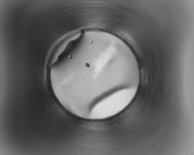 X0000088740780200706282143