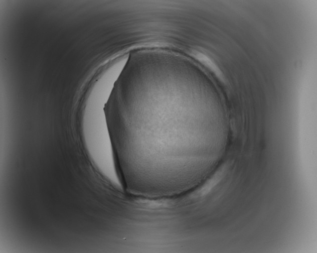 X0000088740781200706282143