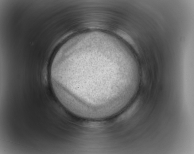 X0000088740782200706282143