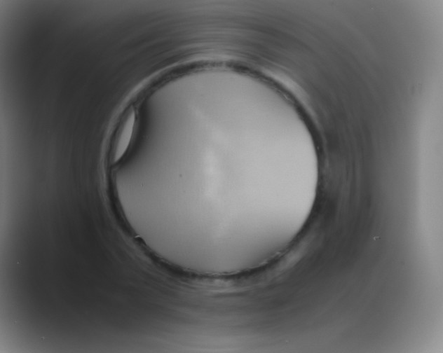 X0000088740783200706282143