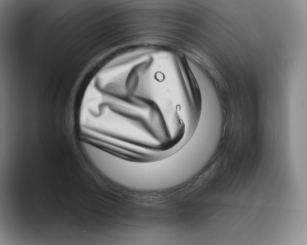 X0000088740784200706282143