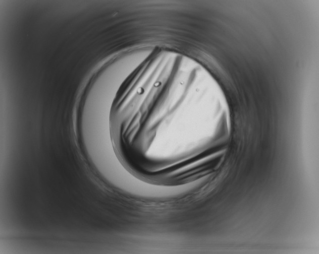X0000088740788200706282143