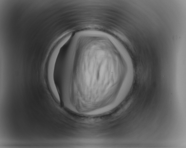 X0000088740790200706282143