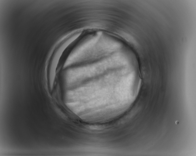 X0000088740792200706282143