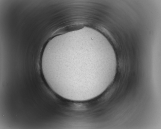 X0000088740794200706282143