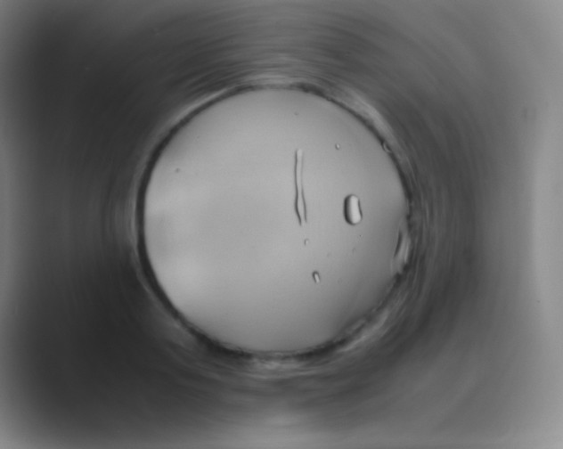 X0000088740795200706282143