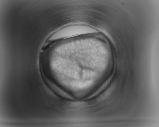 X0000088740797200706282143