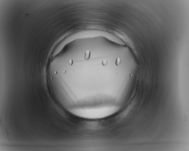 X0000088740798200706282143