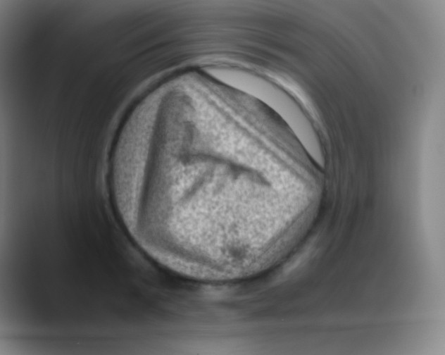 X0000088740799200706282143