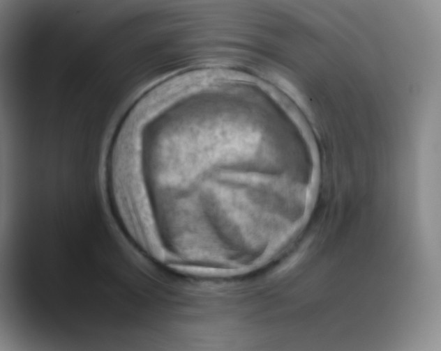 X0000088740803200706282143