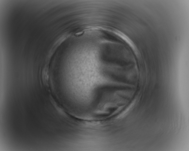 X0000088740809200706282143