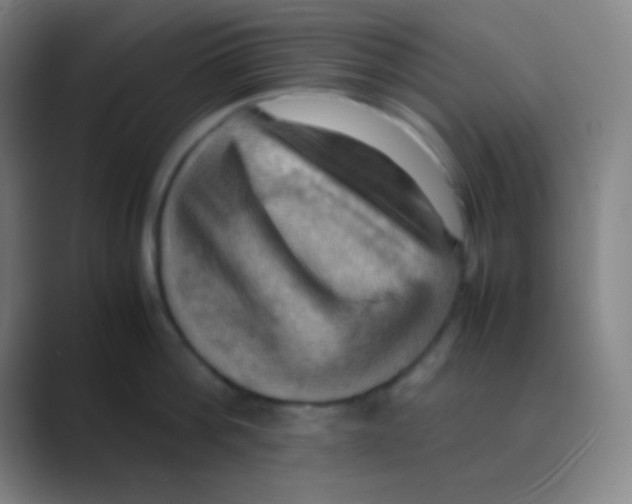 X0000088740812200706282143
