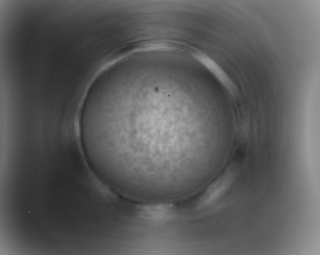 X0000088740813200706282143