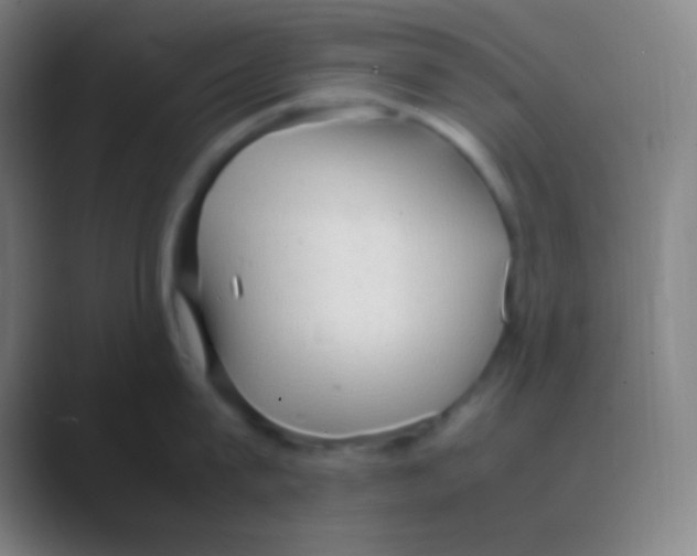 X0000088740815200706282143