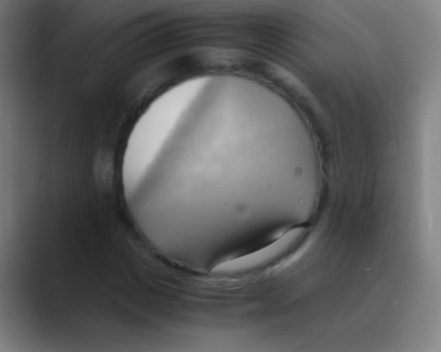 X0000088740825200706282142
