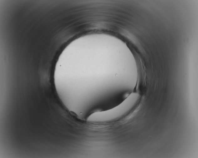 X0000088740826200706282142