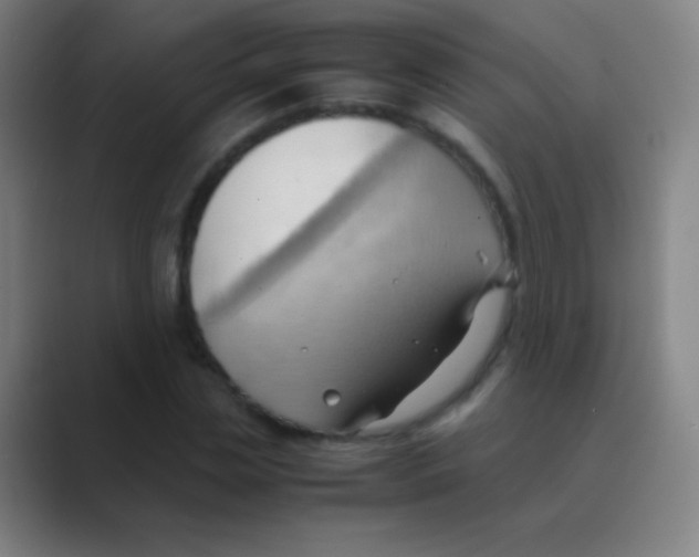 X0000088740829200706282142