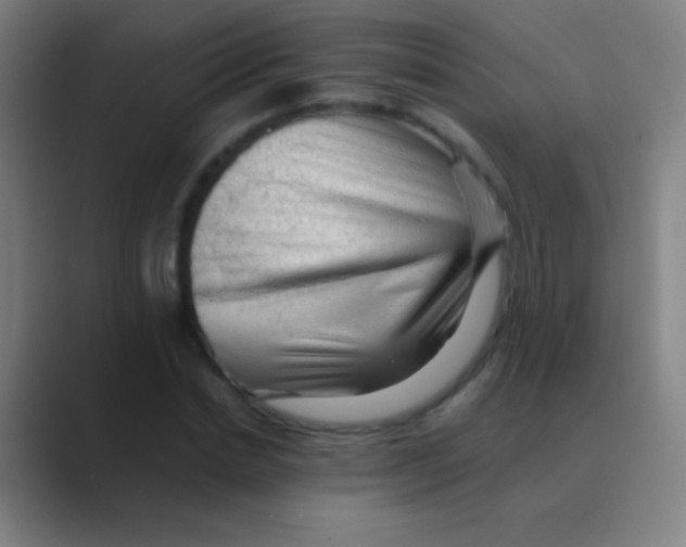 X0000088740830200706282142