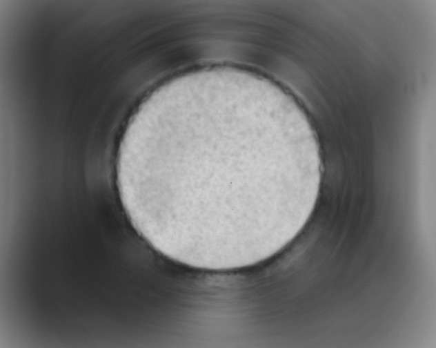 X0000088740832200706282142