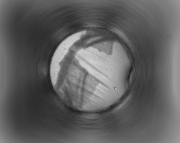X0000088740833200706282142