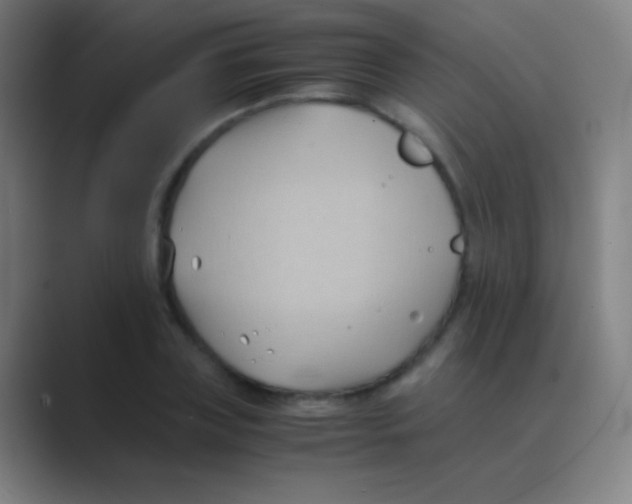 X0000088740835200706282142