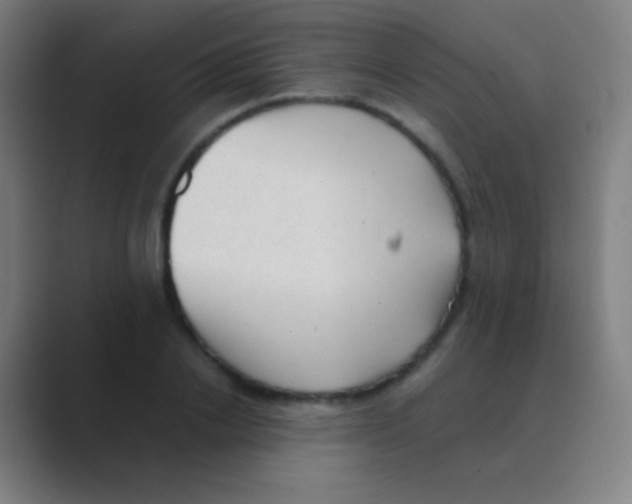 X0000088740838200706282142
