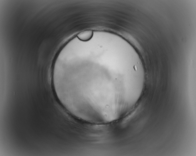 X0000088740839200706282142