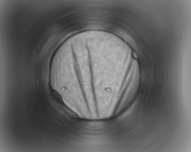 X0000088740844200706282142