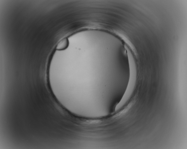 X0000088740845200706282142