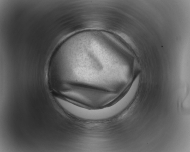 X0000088740846200706282142