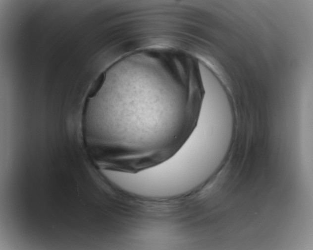 X0000088740850200706282142