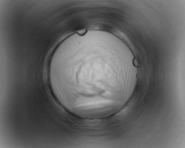 X0000088740851200706282142