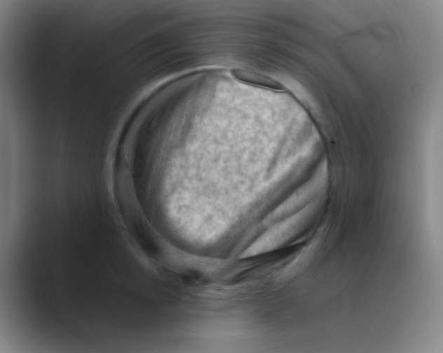 X0000088740854200706282142