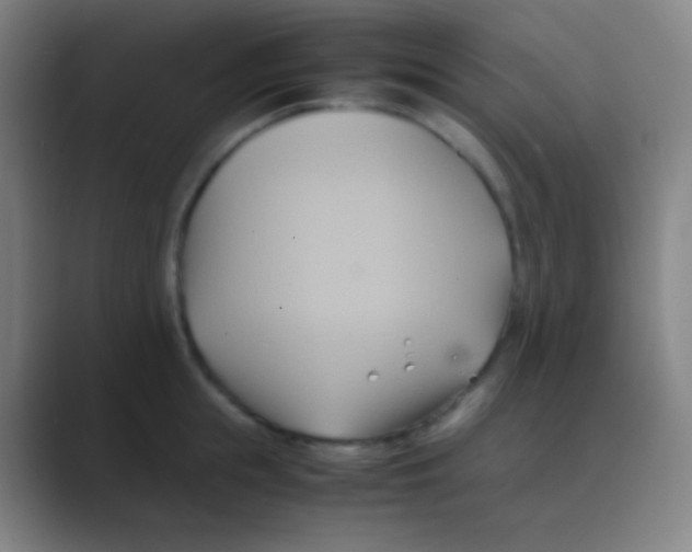 X0000088740855200706282142