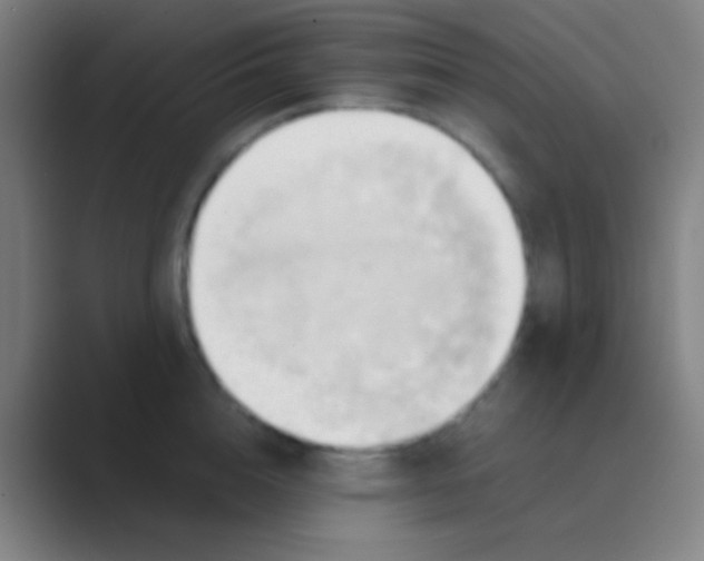 X0000088740856200706282142