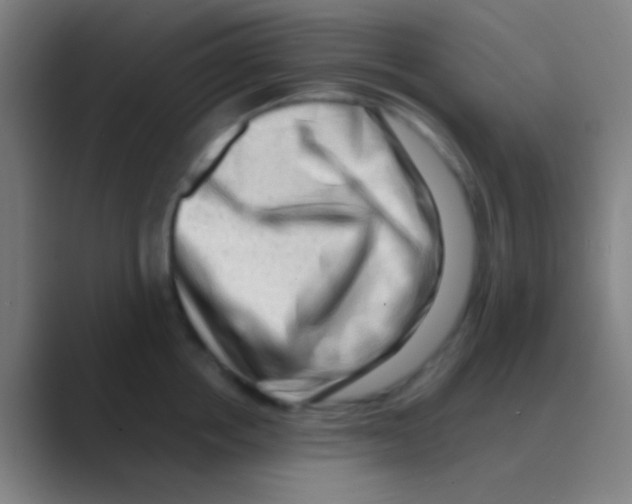 X0000088740858200706282142