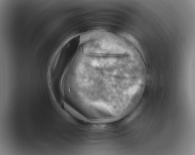 X0000088740859200706282142