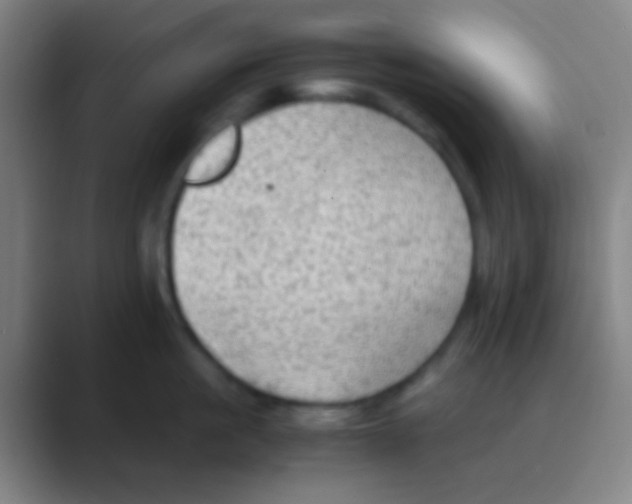 X0000088740861200706282143
