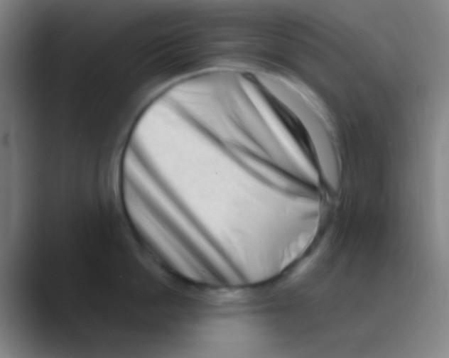 X0000088740862200706282143