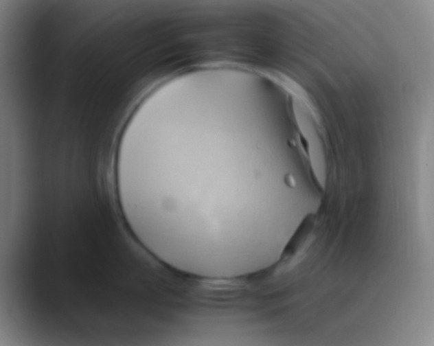 X0000088740863200706282143