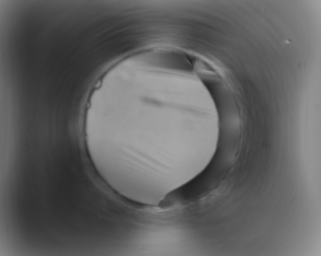 X0000088740864200706282143