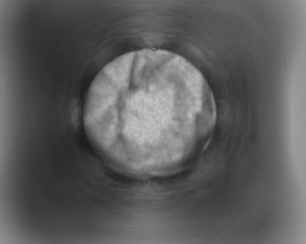 X0000088740866200706282142