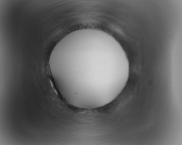 X0000088740869200706282142