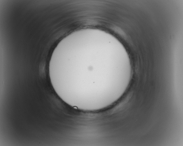 X0000088740873200706282142