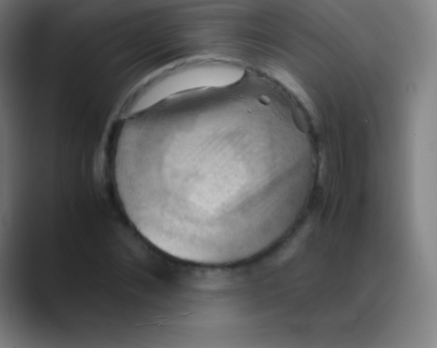 X0000088740876200706282142
