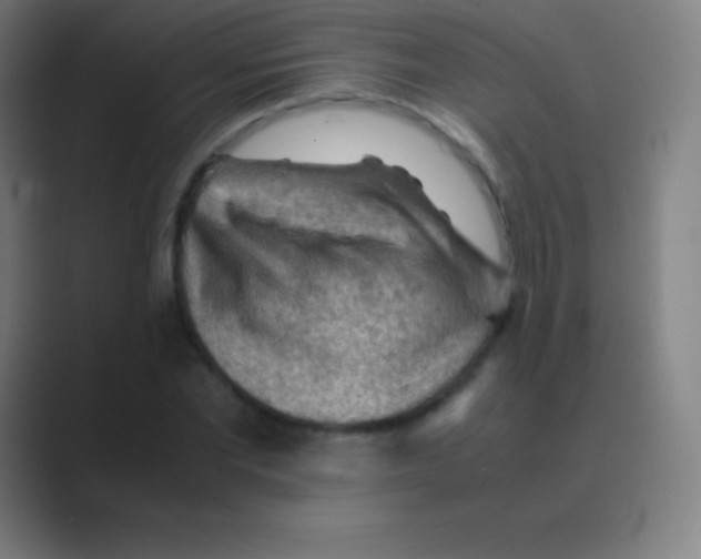 X0000088740877200706282142